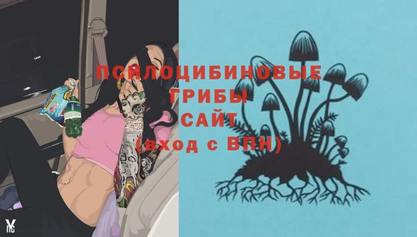 эйфоретик Вязьма